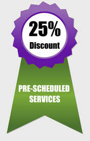 Prescheduled IT Services